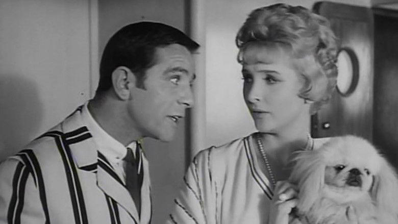 кадр из фильма Мистер Питкин: Девушка на борту