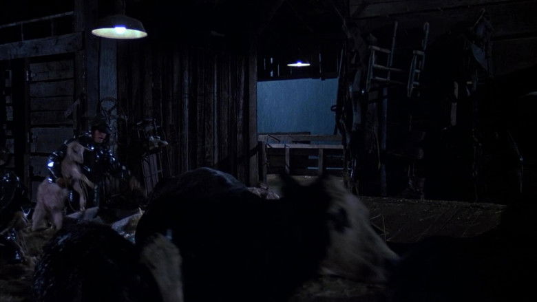 кадр из фильма Река