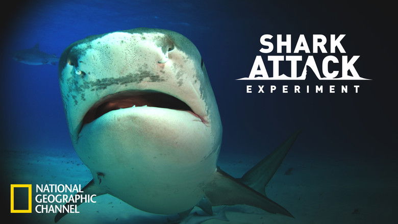 кадр из фильма Shark Attack Experiment Live