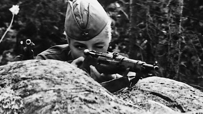 кадр из фильма А зори здесь тихие