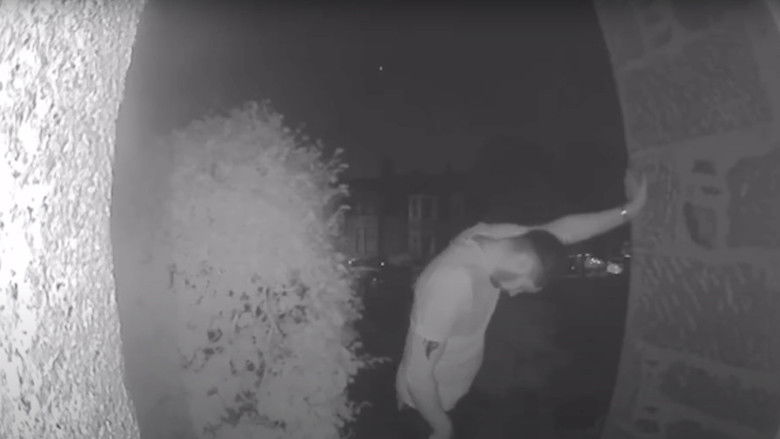 кадр из фильма Nights