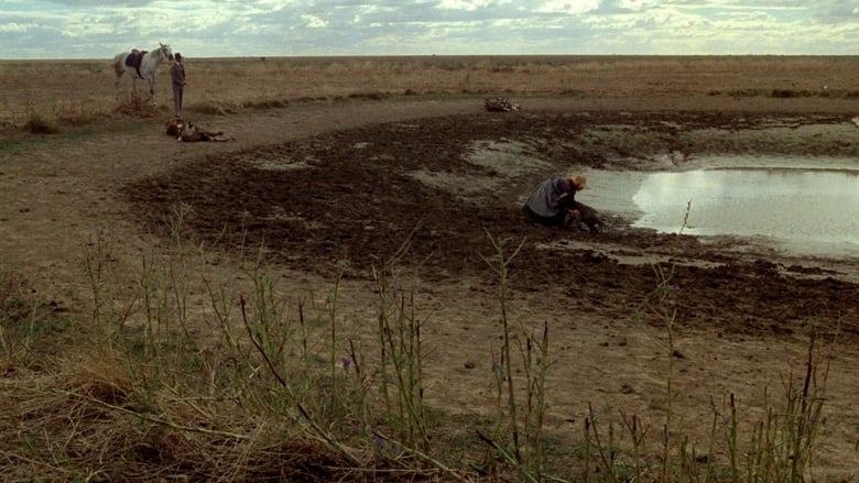 кадр из фильма Моя блестящая карьера