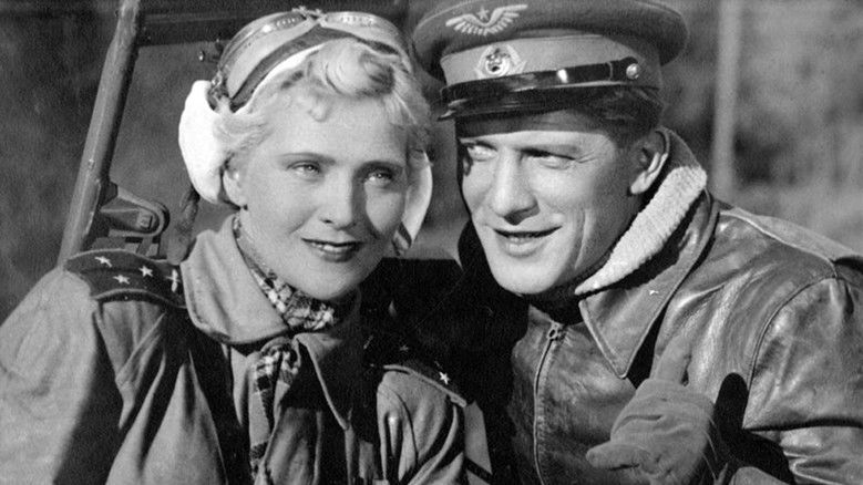 кадр из фильма Небесный тихоход