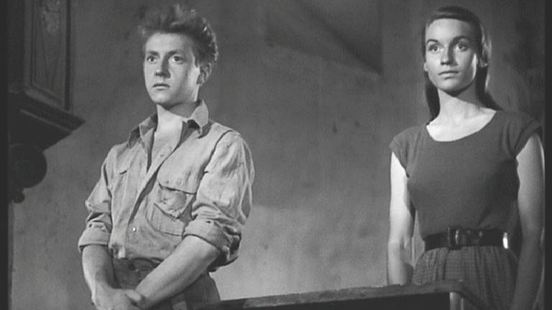 кадр из фильма Les Fruits sauvages