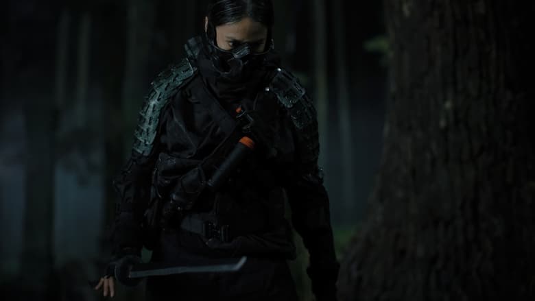 Выйти из тени