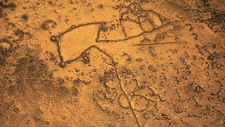 кадр из фильма Les mystères des cerfs-volants du désert