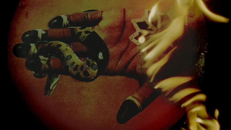 кадр из фильма Memoria de un cuerpo desplazado