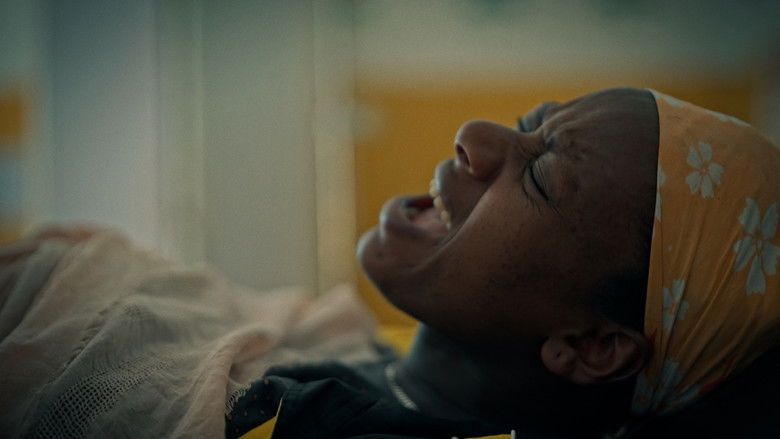 кадр из фильма También lo siento