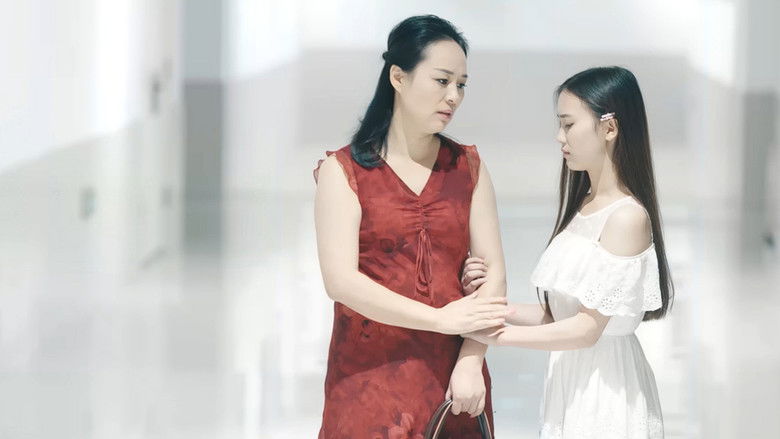 不负青春不负卿