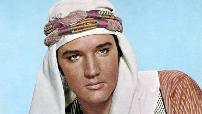 Каникулы в Гареме