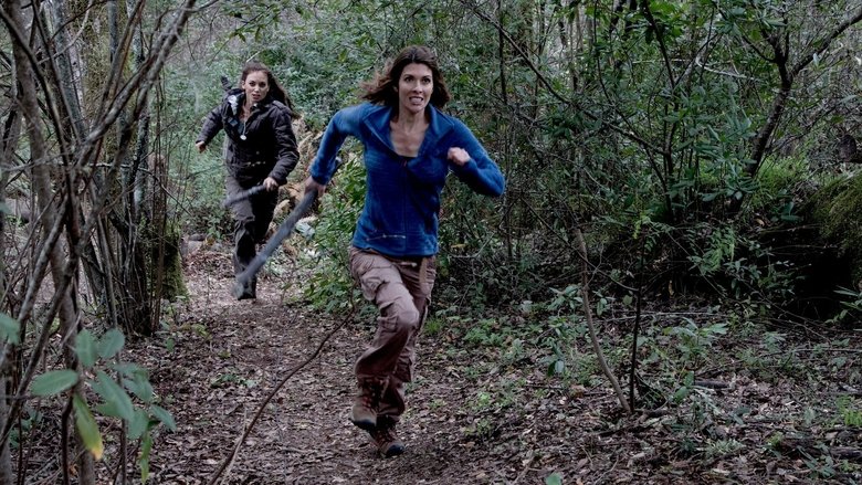 Карьер (Каменоломни)