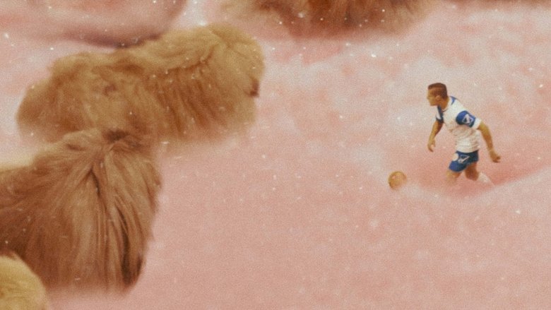 кадр из фильма Диамантино