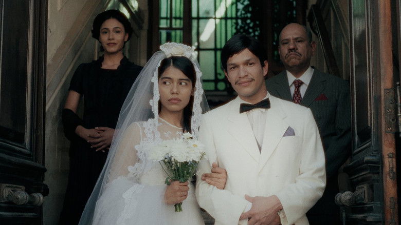 кадр из фильма Una sola primavera