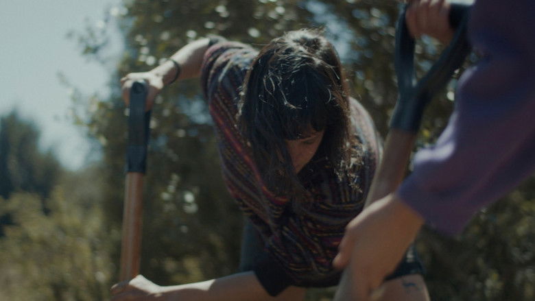 кадр из фильма Entre siete