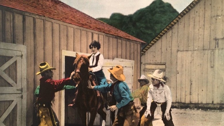 кадр из фильма The Arizona Wildcat