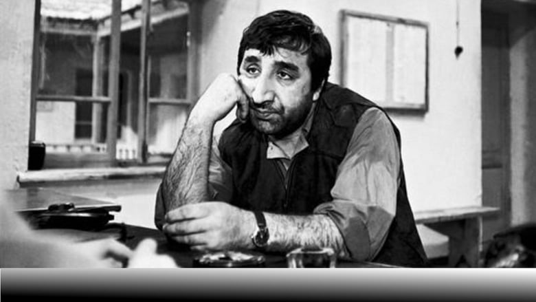 кадр из фильма Мы и наши горы