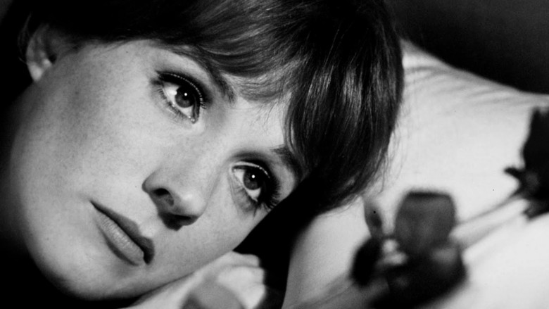 кадр из фильма Дорогая Лили