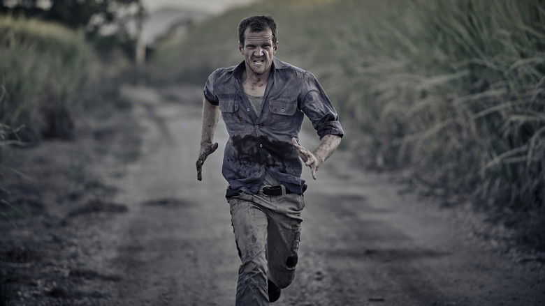 кадр из фильма Сладкая река