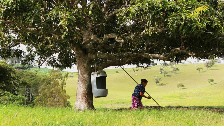 кадр из фильма Notícias de São Paulo