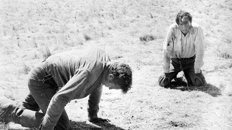 кадр из фильма Большая страна