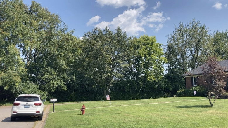 кадр из фильма mailboxes