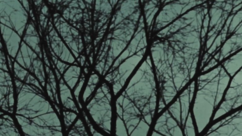 кадр из фильма Elms