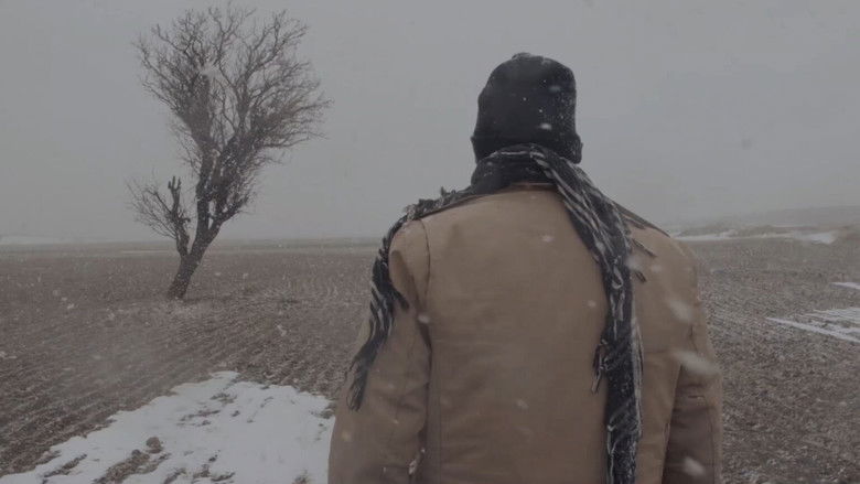 кадр из фильма The Wooden Doll