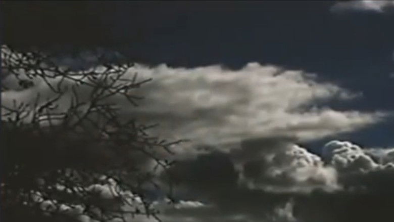 кадр из фильма The Field Is White