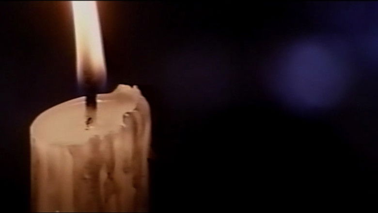 кадр из фильма Леди Чёрная Роза