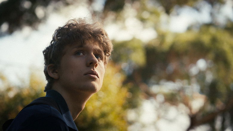 кадр из фильма Splinters