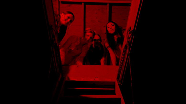 кадр из фильма BUNNY