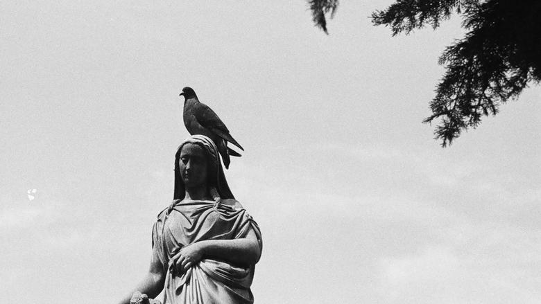 кадр из фильма Voces de Luz