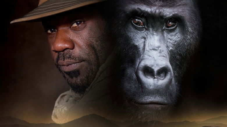 кадр из фильма Silverback