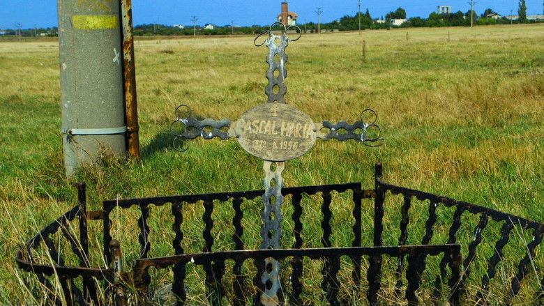 кадр из фильма Не ждите слишком многого от конца света