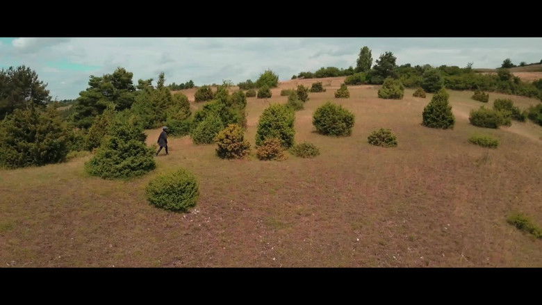 кадр из фильма Wiebkes Weg