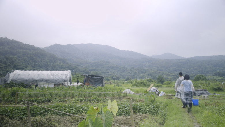 кадр из фильма 守牛人