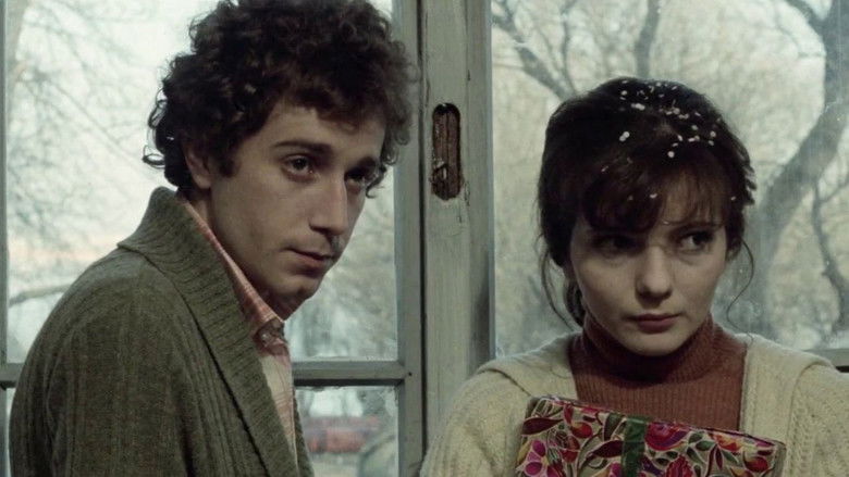 кадр из фильма Čuvar plaže u zimskom periodu