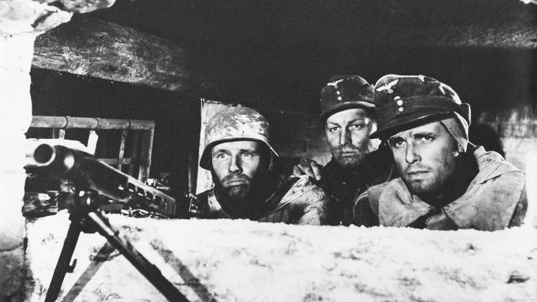 кадр из фильма Собаки, хотите жить вечно?