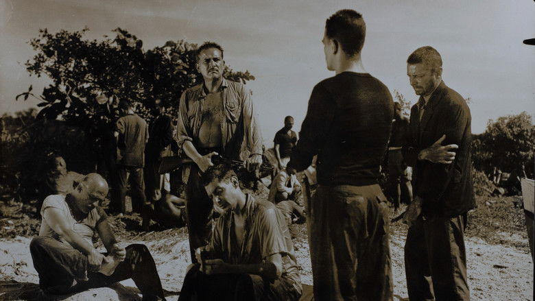 кадр из фильма Mãos Sangrentas