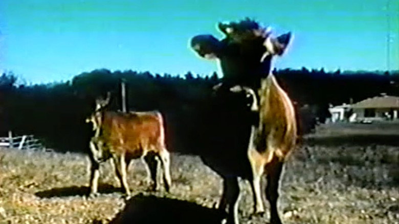 Cattle Mutilation