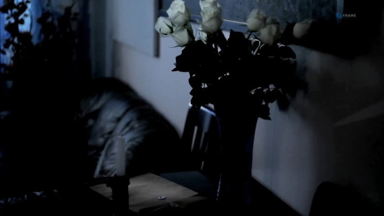 кадр из фильма Үл таних эмэгтэй