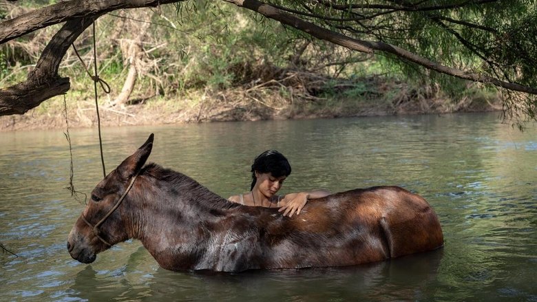 кадр из фильма La arriera