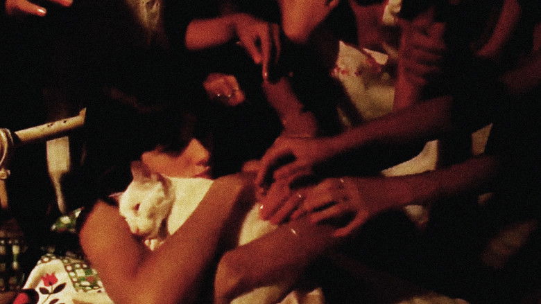 кадр из фильма Os Sete Gatinhos