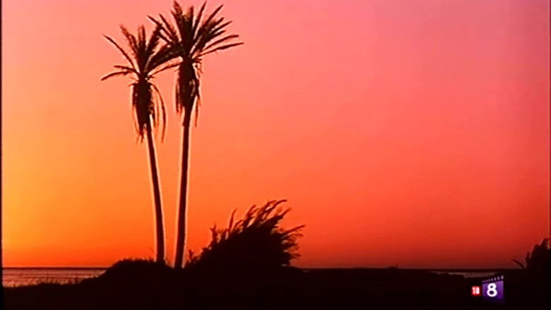 кадр из фильма Orgasmo caliente