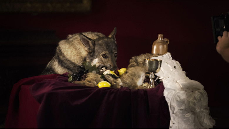 кадр из фильма Two Discs and a Zed