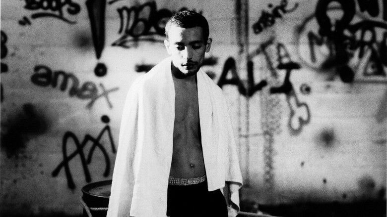 кадр из фильма L'embellie