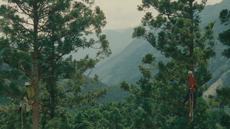 кадр из фильма Работа с древесиной!