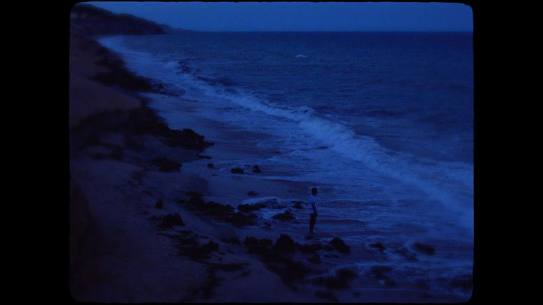 кадр из фильма Moventes