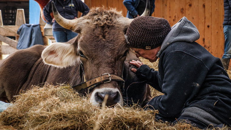кадр из фильма Butenland