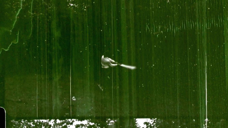 кадр из фильма use the red sword...